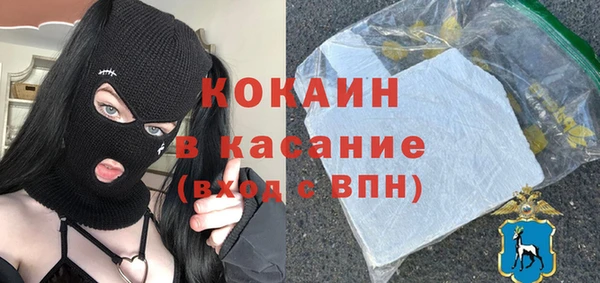 шишки Сосновоборск