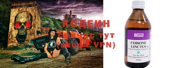 индика Сосновка