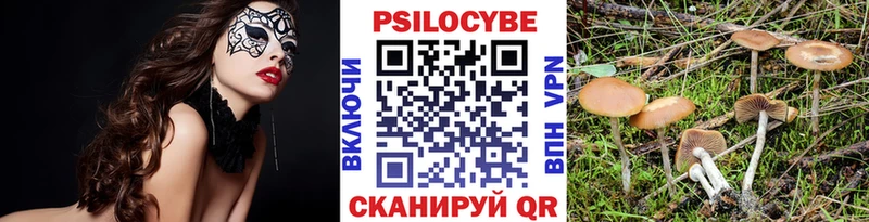 KRAKEN как войти  Качканар  Псилоцибиновые грибы ЛСД 