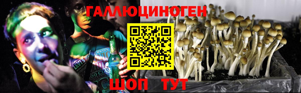 Псилоцибиновые грибы мицелий Качканар